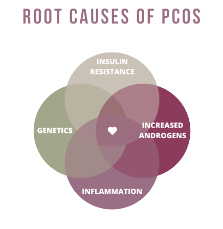 Root Causes of PCOS